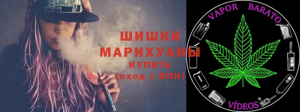 стаф Богданович