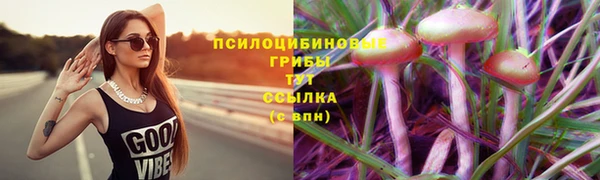 прущие крисы Беломорск