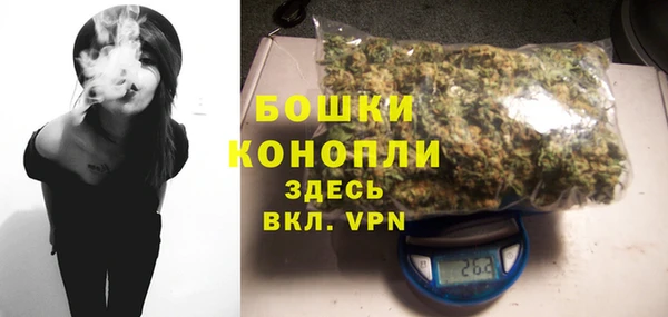 дживик Белокуриха