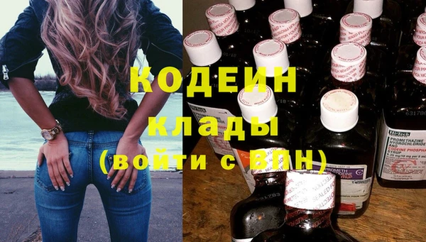 шишки Белоозёрский