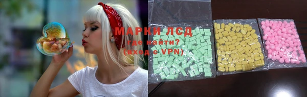шишки Белоозёрский