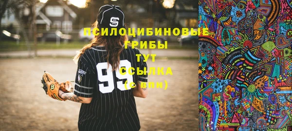 прущие крисы Беломорск