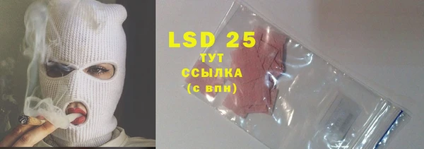 шишки Белоозёрский