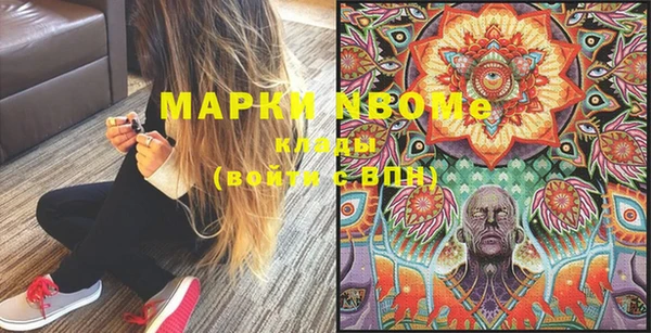 стаф Богданович
