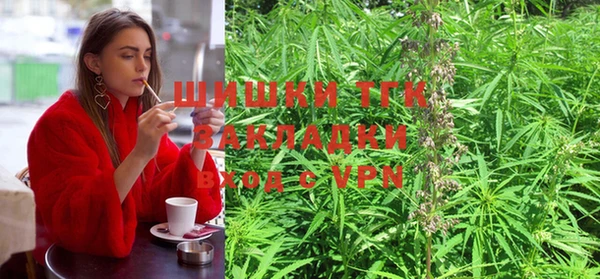 дживик Белокуриха