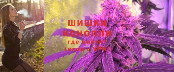 шишки Белоозёрский