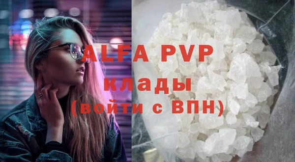 дживик Белокуриха