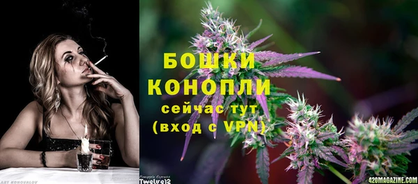 mix Богородицк