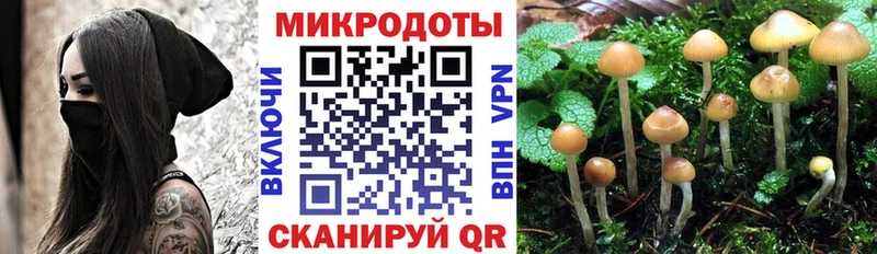 наркошоп  Благовещенск  Галлюциногенные грибы Psilocybine cubensis 